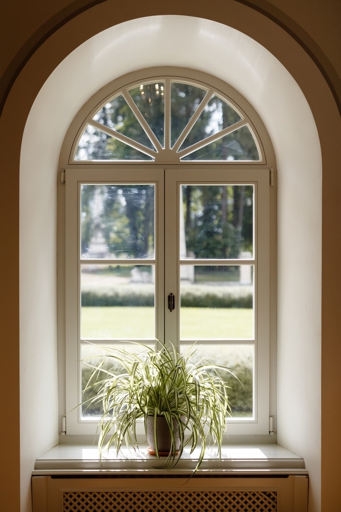 Fenêtre cintrée blanche avec plante verte et vue jardin Plante verte devant une fenêtre cintrée blanche offrant une vue lumineuse sur un jardin arboré.